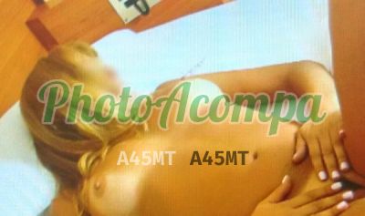 procuro suprir as necessidades do cliente para que fique inteiramente satisfeito. - contato sexual em São Paulo Capital