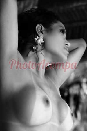 Sheila Bombom (11) 99281-3194 - Escort em Florianópolis