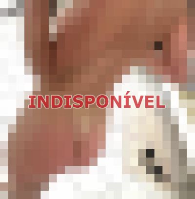 escort em Americana