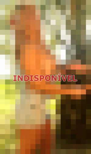 escort em Tatuapé (SP)