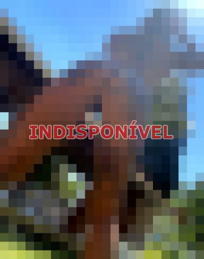 escort no Rio de Janeiro
