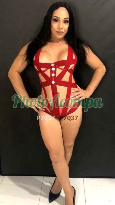Adriana Macedo (11) 97454-8158, trans na Zona Norte (SP)
