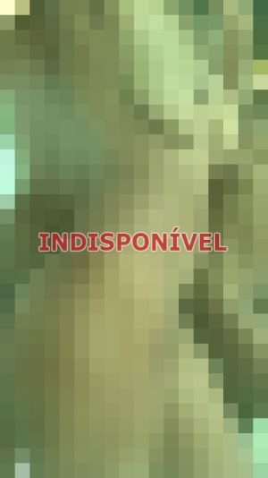 escort na Zona Leste (SP)