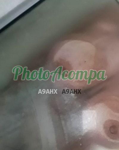Waleska, escort na Zona Norte (POA)