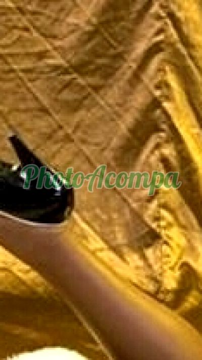 Nicole Bueno, escort em Caraguatatuba