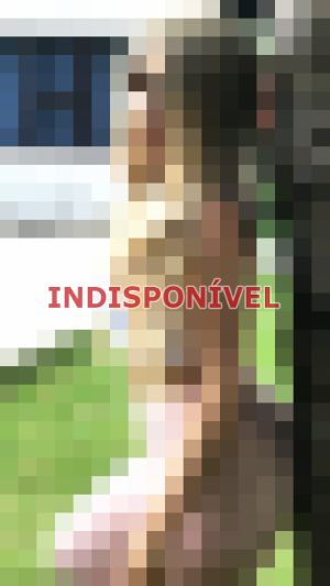 escort em Barueri