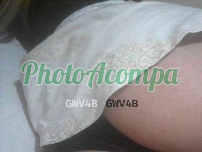 Garota de programa transexual, travesti em Brasília