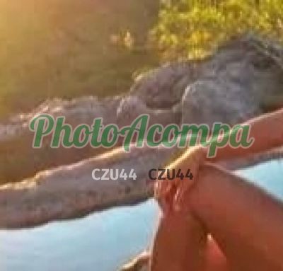 Tainá, garota de programa em Jacarepaguá (RJ)