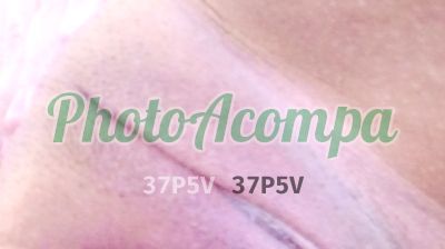 Romana Ricci, escort na Zona Sul (SP)