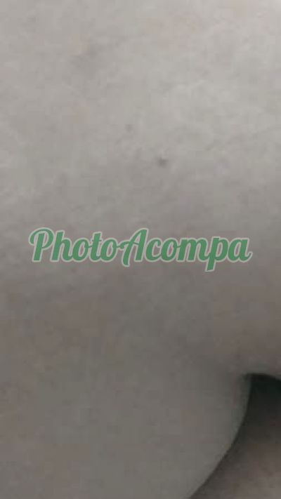 Alice, escort em Santa Bárbara d'Oeste