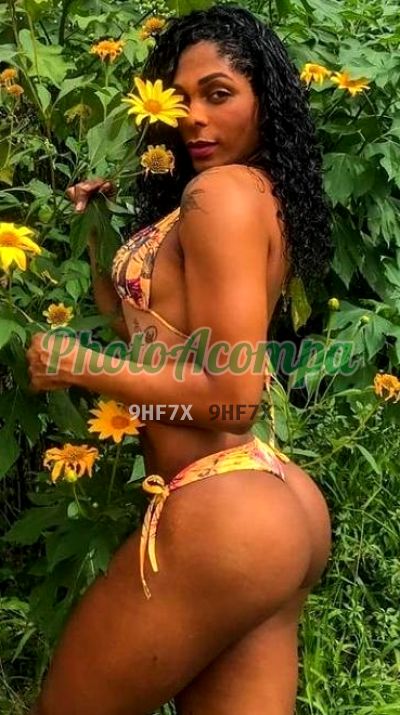 Camila Ferrarini, travesti em Recife