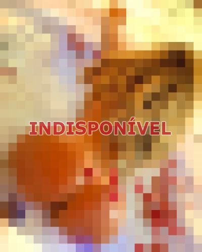 escort em São José do Rio Preto