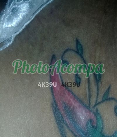 Katriny, escort em Salvador