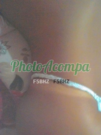 Daia, escort na Zona Norte (POA)