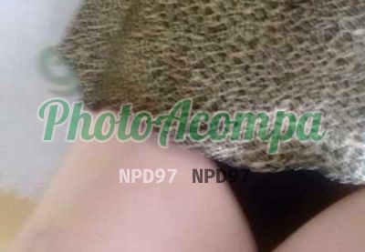 Laurinha, escort no ABC Paulista