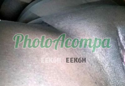 Acompanhante, escort no Rio de Janeiro