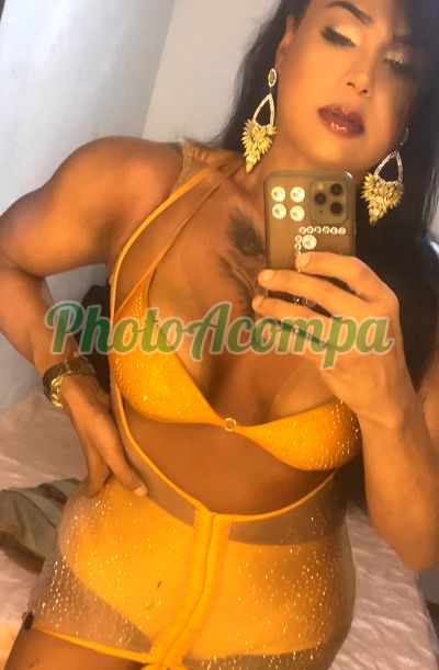 Kamilla (51) 99227-3869, Trans em Florianópolis