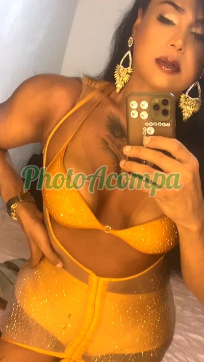 Kamilla (51) 99227-3869, Trans em Florianópolis