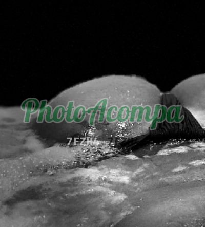 Moana Soares, escort na República (SP)