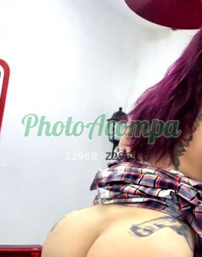 Danni, escort em Curitiba
