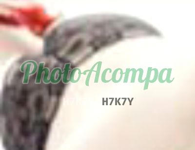 Tauane, escort em Ribeirão Preto