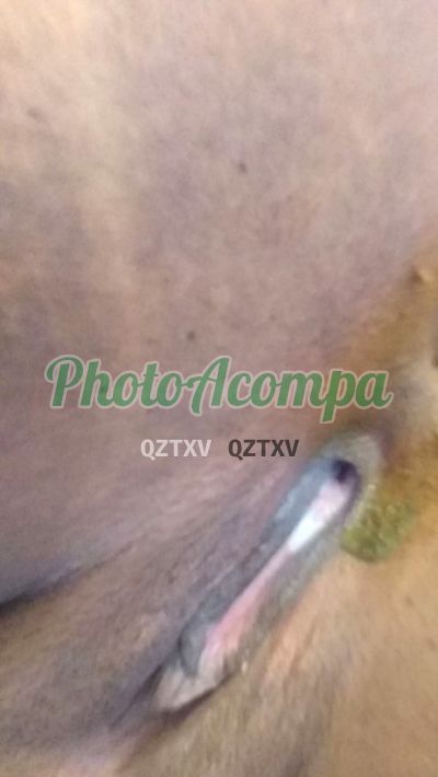 Agatha, escort em Belo Horizonte