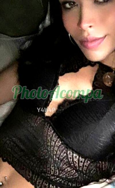 Travesti, travesti em Recife