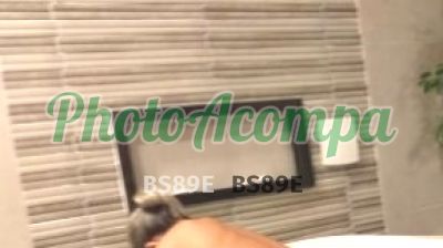 Brenda Diniz, escort em João Pessoa