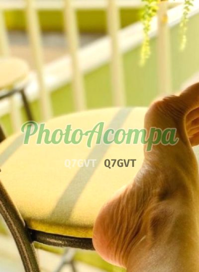 Domme Pandora, garota de programa em Campinas