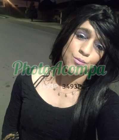 Sabrina Laila Fiorelly, Travesti em Curitiba
