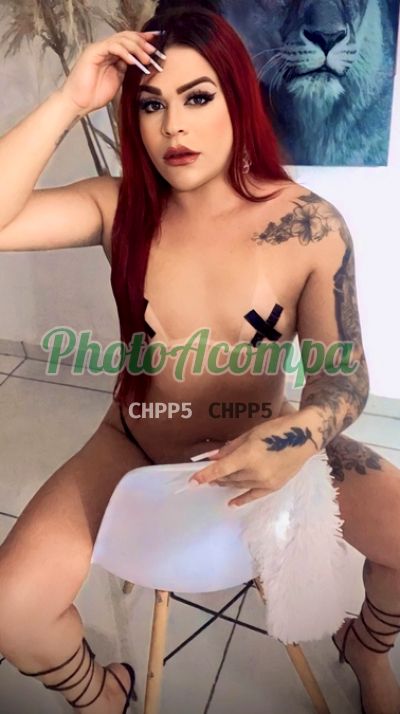 Angely Vitória (15) 99728-4054, Travesti em Sorocaba