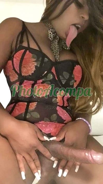 Aline Beatriz, Travesti em Curitiba