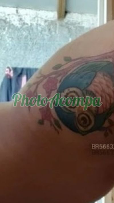 Amanda Ferrari, escort em Três Lagoas