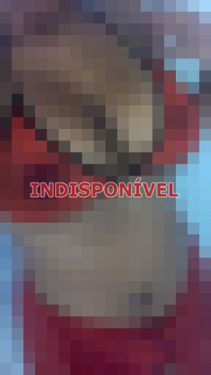 acompanhante em São Paulo