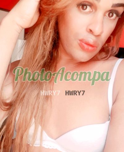 Ysabella Carboni acc cart, travesti na Lapa (RJ)