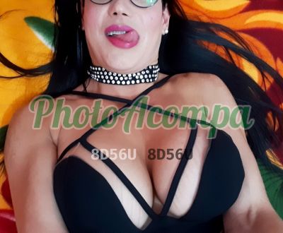 Sheilla (15) 99621-0543, trans em Itapetininga