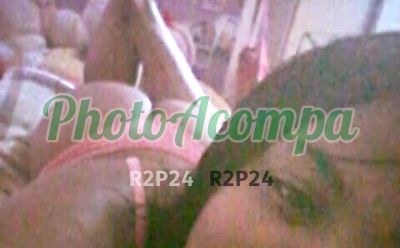 Suellen, escort em Santo Amaro (SP)