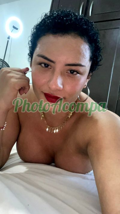 Morena cacheada porno Sta (11) 98847-9578, travesti em Guarulhos
