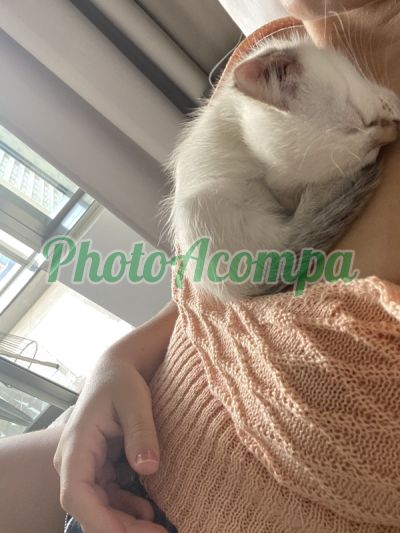 Carol Novaes, escort em São Paulo