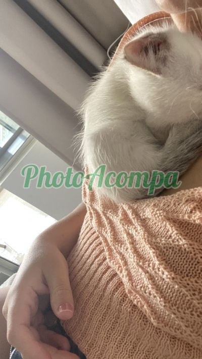 Carol Novaes, escort em São Paulo