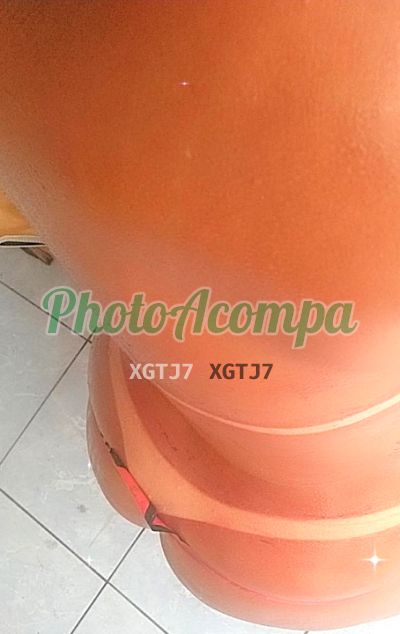 Mayelle Paloma, escort em Recife