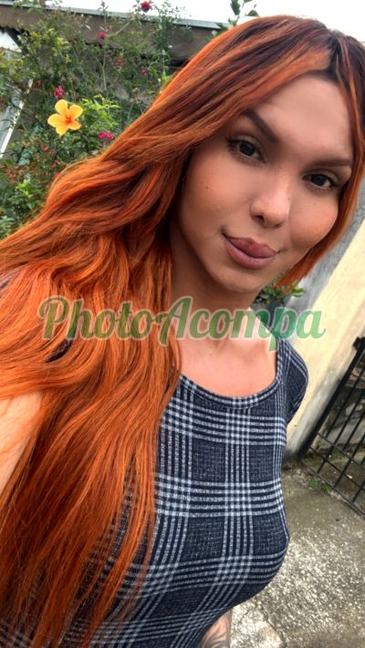 Serena Do Vale (12) 97812-4561, transex em Taubaté