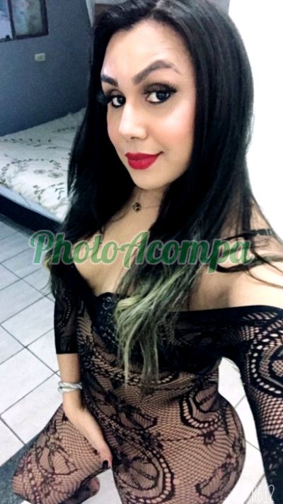 Lii (11) 99332-3152, Trans em Guarulhos