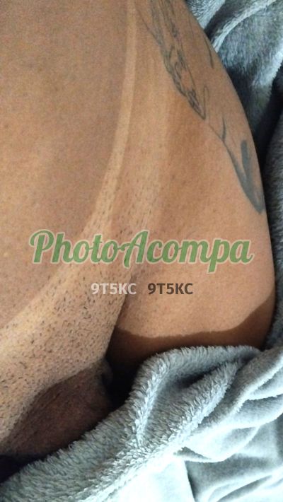 Cachinhos (13) 99693-9376, transex em Embu das Artes