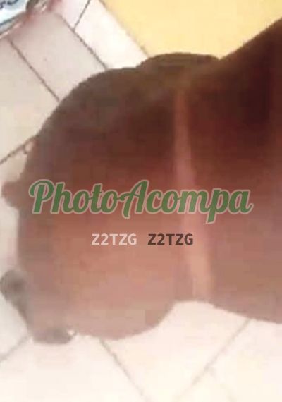 Acompanhante, acompanhante em Volta Redonda