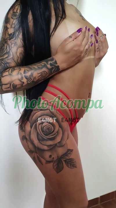 Morena Rosa, escort em Rio Claro