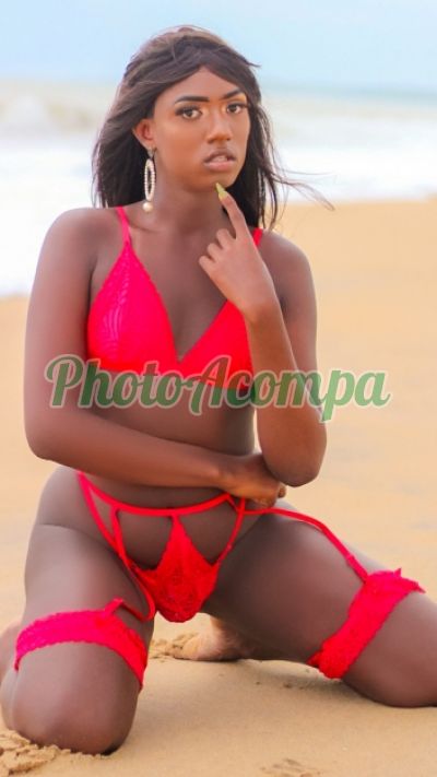 Stefanny, transex em Cabo Frio
