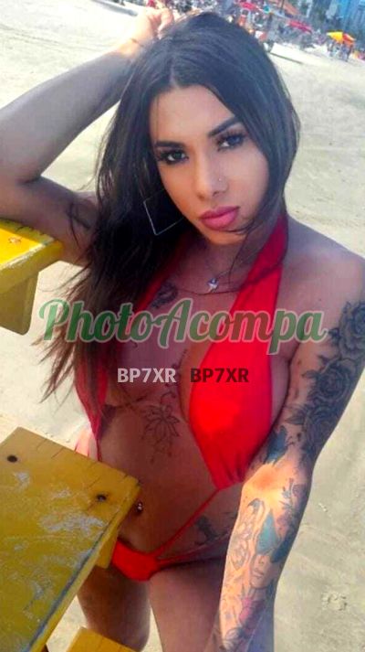 Tiffany (11) 93495-3511, transex na República (SP)