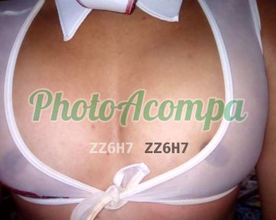 Gatinha trans disponível, trans em Macapá