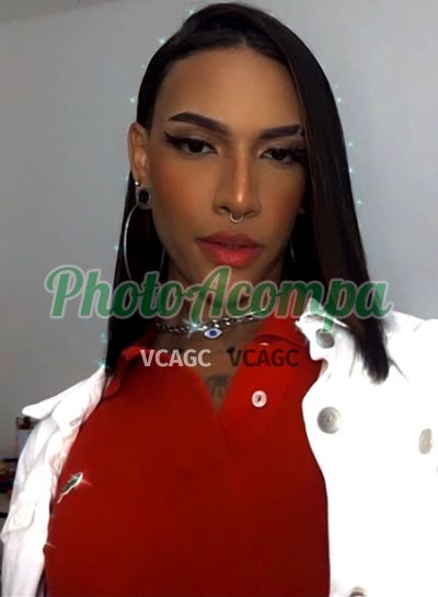 Sara Leão, travesti em Bauru